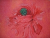 Helen Pakeman 'Poppy Head' painting