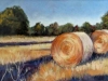 Helen Pakeman 'Harvest'