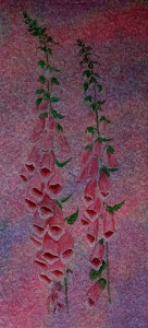 Commissioning Art - Helen Pakeman 'Foxgloves'