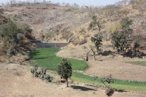Check Dam in Aravali Hills